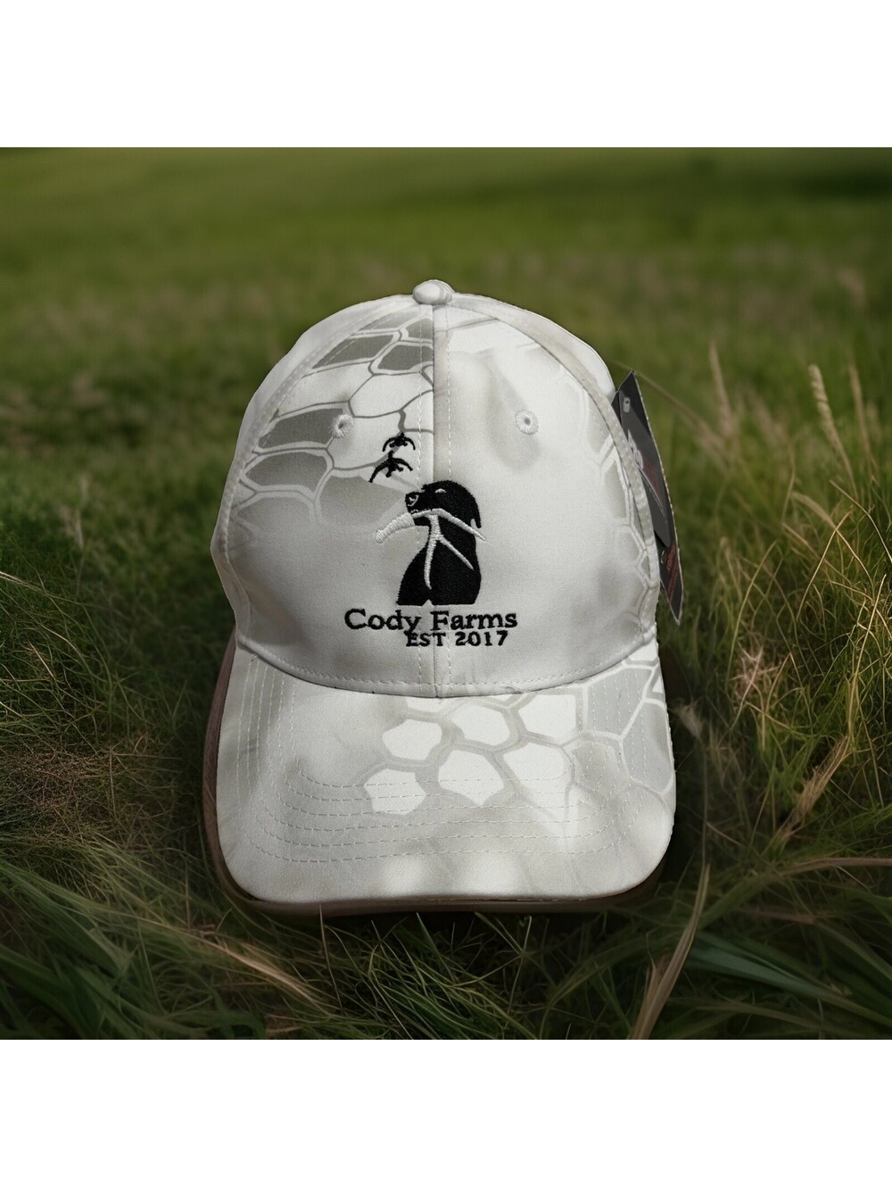 Cody Farms Farm Fresh Fruits Vegetables Jams Horse Stable New York Baseball Cap
